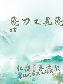 飞刀又见飞刀txt