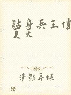 贴身兵王俏总裁夏天