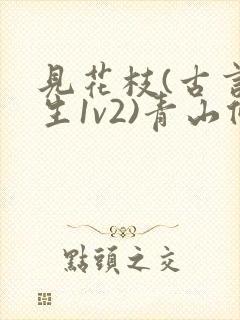 见花枝(古言重生1v2)青山候我小说