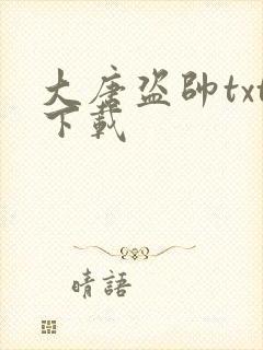 大唐盗帅txt下载