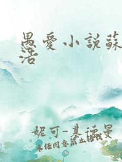 愚爱小说苏倩孙浩