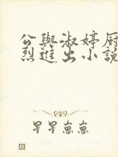 公与淑婷厨房猛烈进出小说