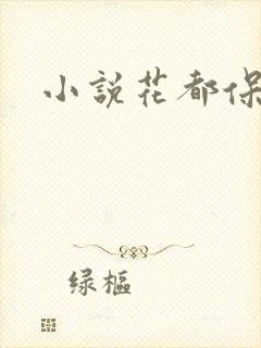 小说花都保镖