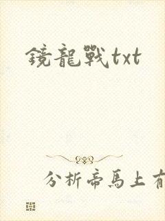 镜龙战txt