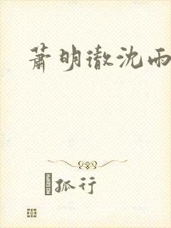 萧明彻沈雨燃