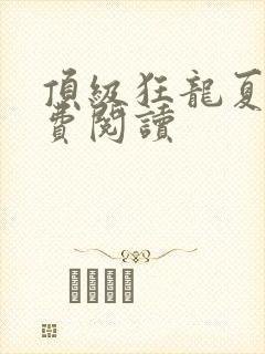 顶级狂龙夏天免费阅读