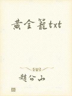黄金笼txt
