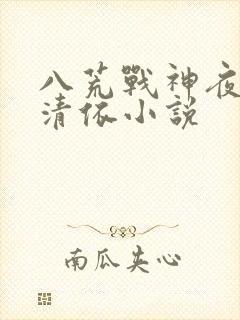 八荒战神夜麟云清依小说