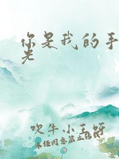 你是我的手冢国光