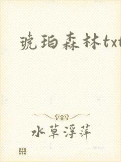 琥珀森林txt