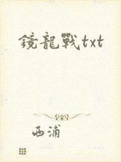 镜龙战txt