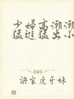 少妇高潮潮喷到猛进猛出小说