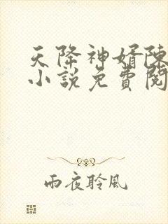 天降神婿陈黄皮小说免费阅读