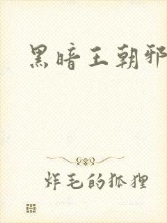 黑暗王朝邪恶版