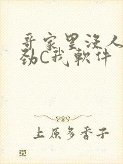 哥家里没人使点劲C我软件