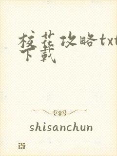 校花攻略txt下载