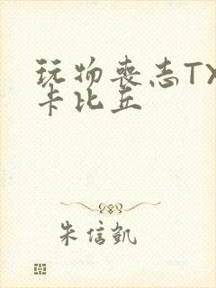 玩物丧志TXT卡比丘