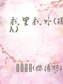 戏里戏外(现场h)