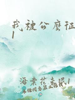 我被公么征服了1