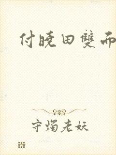 付晓田双面间谍