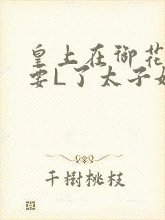 皇上在御花园里要L了太子妃