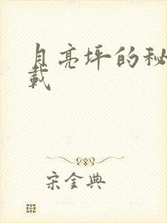 月亮坪的秘密下载