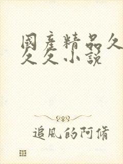 国产精品久久久久久小说