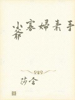 小寡妇素手擒四爷