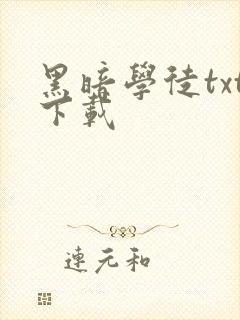 黑暗学徒txt下载