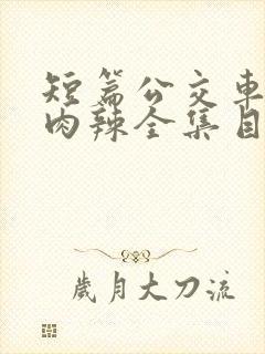 短篇公交车高h肉辣全集目录