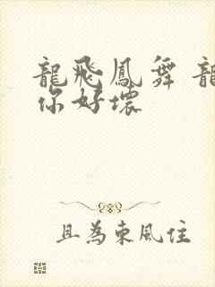 龙飞凤舞 龙王你好坏