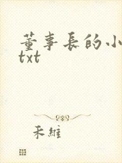 董事长的小王爷txt