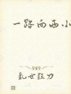 一路向西小说