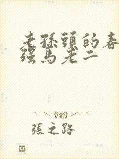 老孙头的春天马强马老二