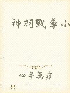 神羽战尊小说