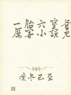 一胎六宝爸比好厉害小说免费阅读