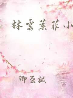 林云叶菲小说