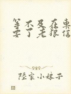 等不及在车里就要了老狼信息