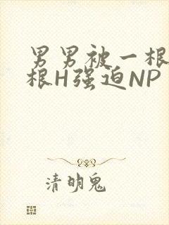 男男被一根又一根H强迫NP