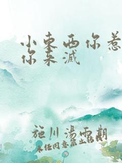 小东西你惹的火你来灭