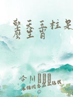 擎天玉柱是指什么生肖