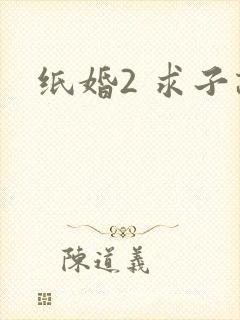 纸婚2 求子记