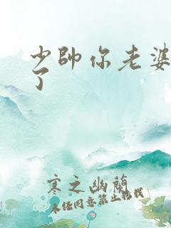 少帅你老婆又跑了