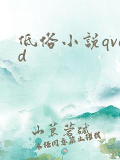 低俗小说qvod