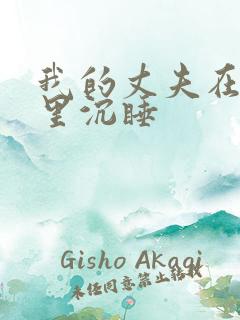 我的丈夫在冰箱里沉睡