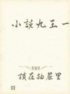 小说九王一后