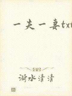 一夫一妻txt