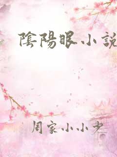 阴阳眼小说