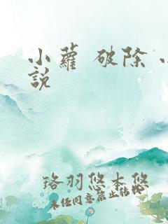 小萝 破除 小说