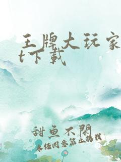 王牌大玩家txt下载